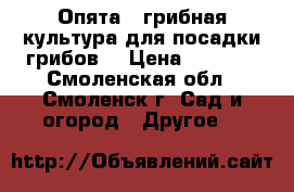 Опята – грибная культура для посадки грибов! › Цена ­ 1 990 - Смоленская обл., Смоленск г. Сад и огород » Другое   